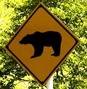 熊出没注意の交通標識